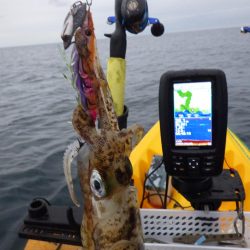 今日もティップラン